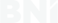 BNI Zannekin